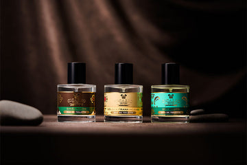 【11/26 新発売】CIGARRO 初のオードトワレが誕生