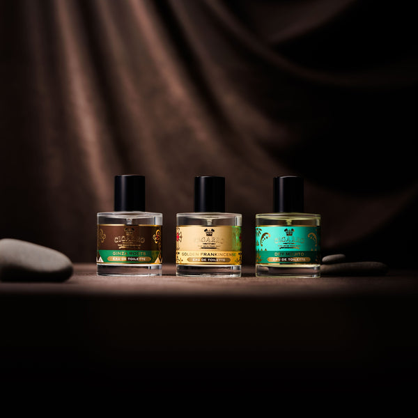 オードトワレ ギンザルーツ